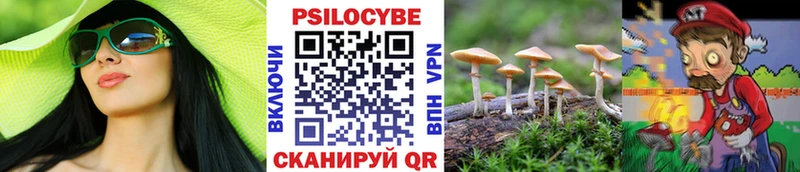 Псилоцибиновые грибы MAGIC MUSHROOMS  Городец 